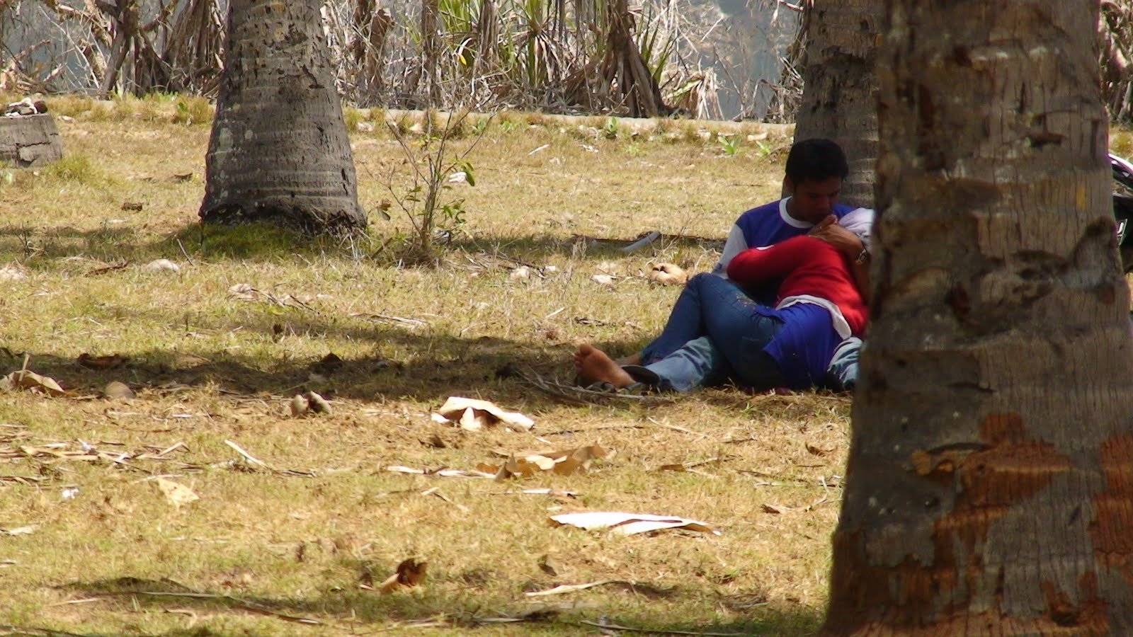 Hijab di Viral Indo Aku Mainin Putingnya Dari Belakang Kebun Sawit Top Global Wikwik 2026